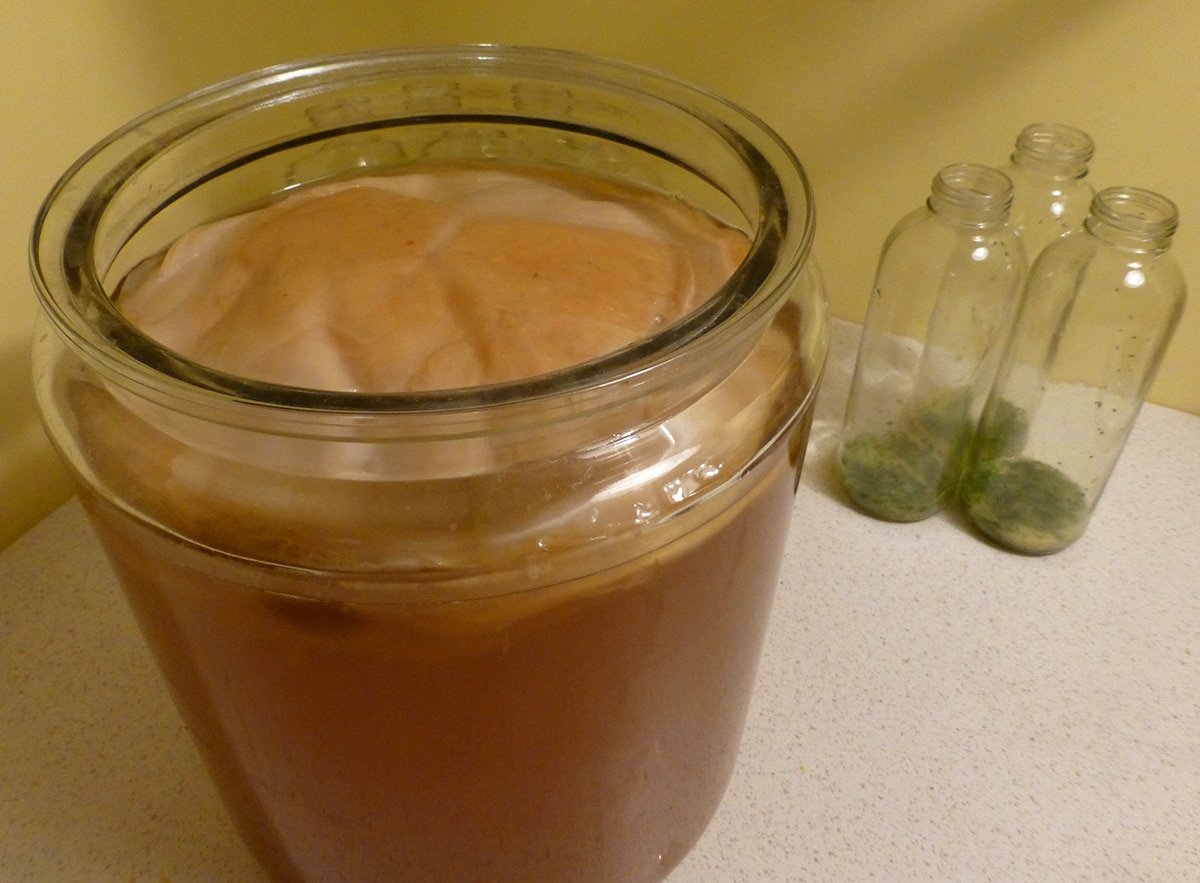 kombucha-brewing-jar kombucha brewing jar