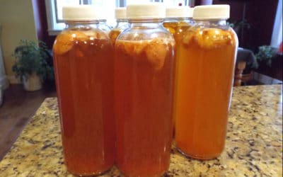 Best Bottles for Flavoring and Storing Kombucha