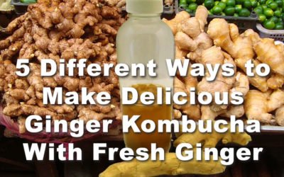 5 Different Ways to Make Delicious Ginger Kombucha With Fresh Ginger