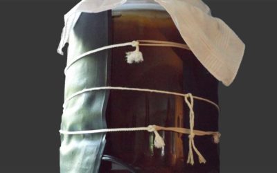 Inexpensive Heat Mat Ensures Tastiest Home Brewed Kombucha