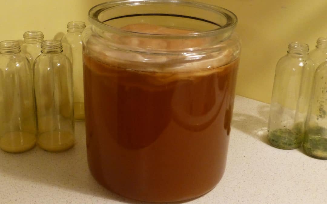 Select the Best Kombucha Brewing Jar for Safe Home Brewed Kombucha