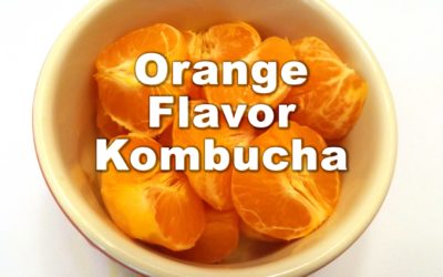 Orange Juice Kombucha Recipe