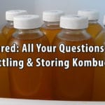 Answered: All Your Questions About Bottling & Storing Kombucha