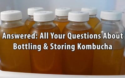 Answered: All Your Questions About Bottling & Storing Kombucha