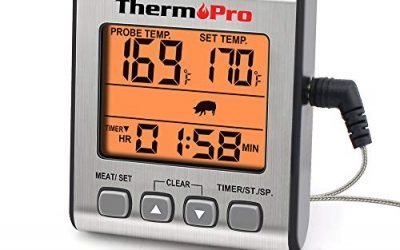 Best Thermometer for Kombucha Brewing