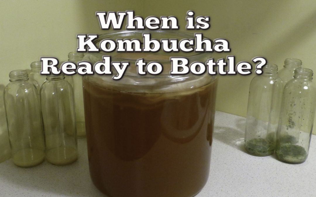 How To Know When Home Brewed Kombucha is Ready to Bottle