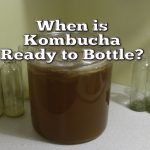 when is kombucha ready to bottle