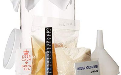 Kombucha Brewing Starter Kits Review–Good Deal or A Waste of Money?