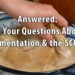 Answered All Your Questions about the SCOBY
